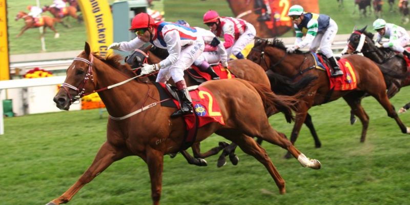 Cá cược đua ngựa loại hình cược thú vị đáng trải nghiệm