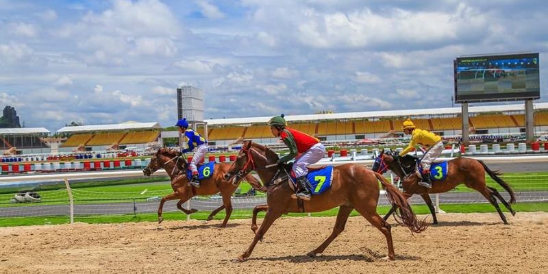 Khám phá luật chơi cá cược đua ngựa cho tân thủ